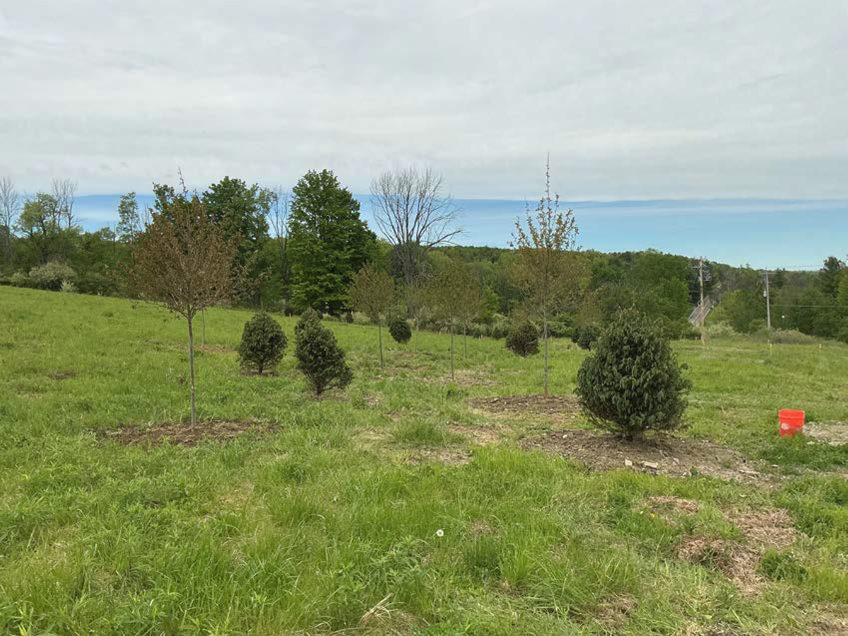 Land management work in progress on a commercial site