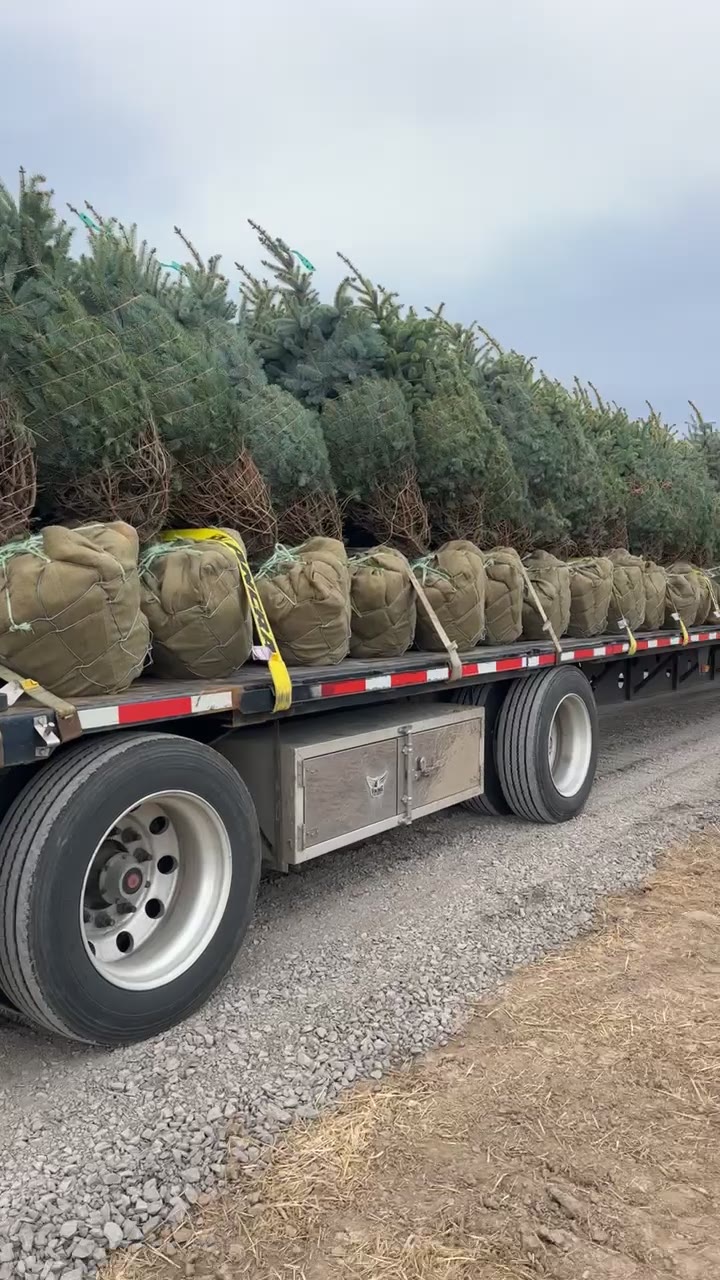 Flatbed delivering a full load of trees to the project site